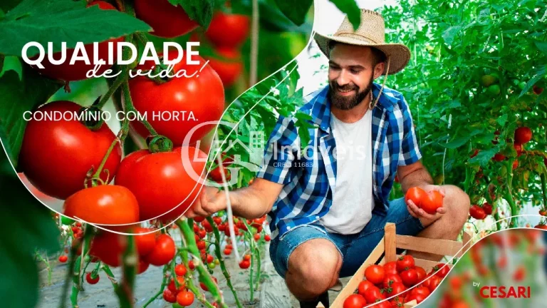 Imagem Apartamento à venda em Campo Grande-MS, Vila Planalto: 2 quartos, 1 sala, 1 banheiro, 52,71m². Venha conferir!