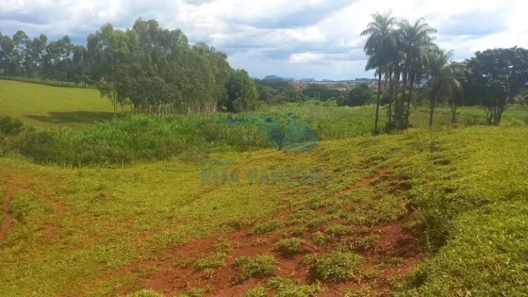 Imagem Rancho - Santo Antônio da Alegria - Poção