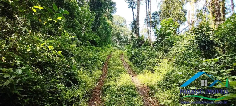 Imagem Terreno Exuberante no Bairro Campestre, Gonçalves – Serra da Mantiqueira
