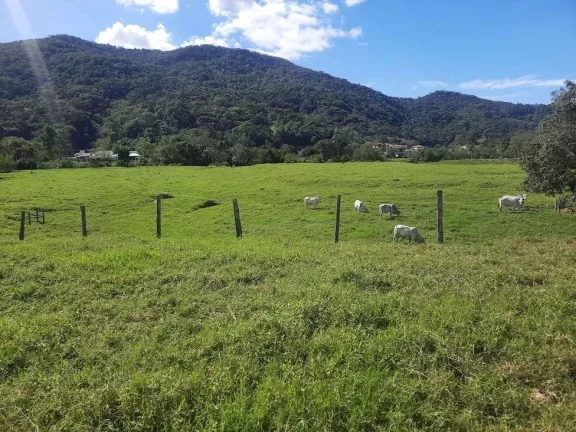Imagem Terreno à Venda, 36.846 m2, com Viabilidade para Loteamento. Sul do Rio, Santo Amaro da Imperatriz, SC