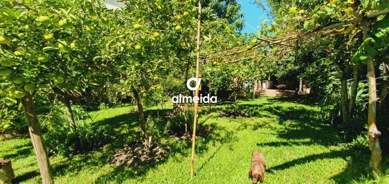 Imagem CASA 2 DORMITÓRIOS