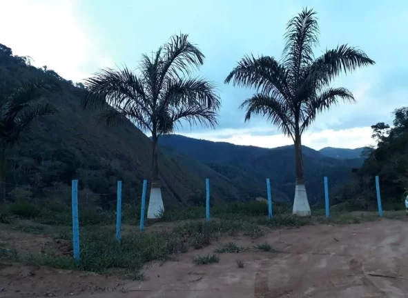 Imagem SITIO RURAL em SANTA LEOPOLDINA - ES, SANTA LEOPOLDINA