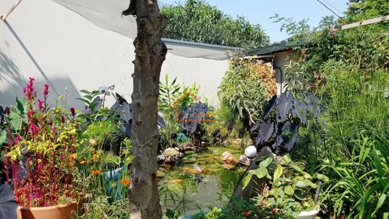 Imagem Chácara à venda no bairro PEDERNEIRAS - Mogi Mirim/SP