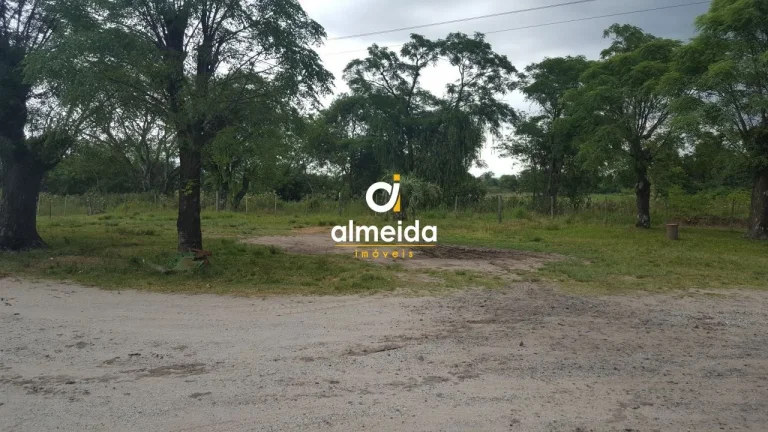 Imagem TERRENO NA BR392