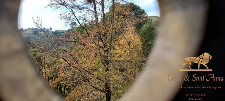 Imagem Oportunidade, Belíssima casa em meio ao verde de Campos do Jordão/SP