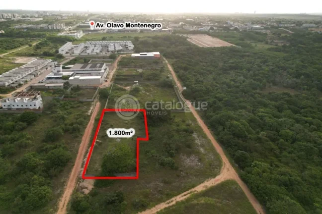 Imagem Área a venda em Parnamirim - Parque das árvores - Loteamento parque das Orquídeas