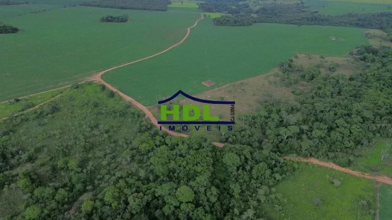 Imagem Fazenda 70 Alqs Dupla Aptidão plantada em Soja em Bela Vista GO