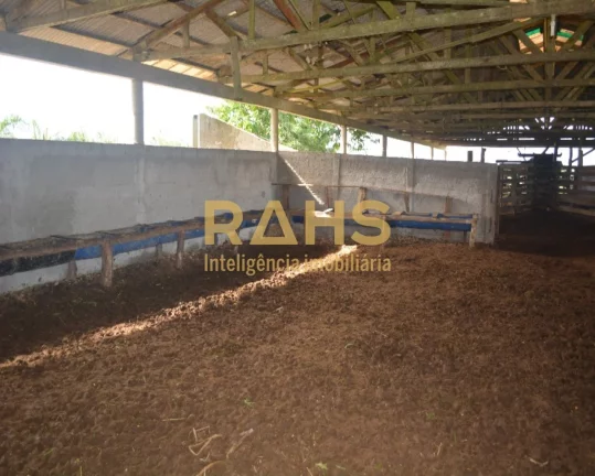 Imagem Fazenda mais linda de Garuva, é 100% plana, pode-se ver o gado de ponta a ponta da fazenda, tendo u...