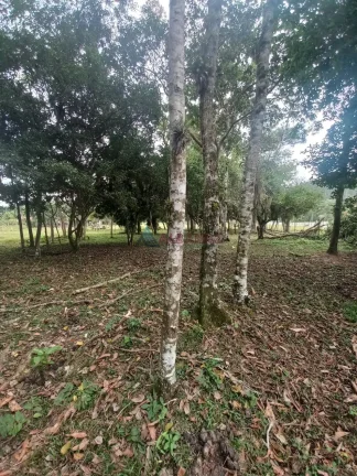 Imagem Terreno à venda no bairro Oliveira - Tijucas/SC
