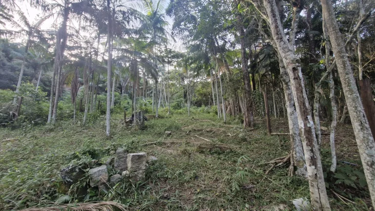 Imagem Terreno com 630m² à venda por R$200.000,00 no Siriú - Garopaba-SC