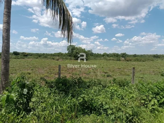 Imagem Encantadora Fazenda à Venda na Zona Rural de Nossa Senhora do Livramento
