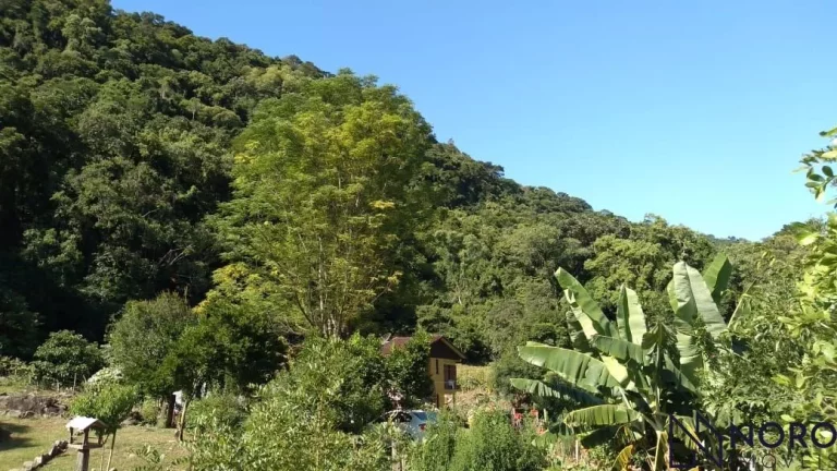 Casa no campo. Chácara para quem aprecia a natureza, mata nativa, riacho