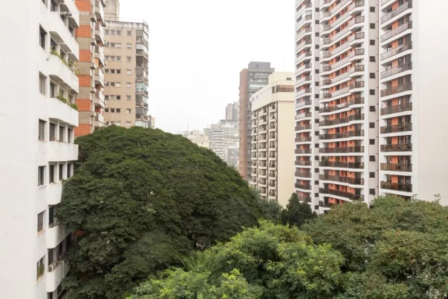 Imagem Apartamento com 3 Quartos à Venda, 175 m² em Jardim Paulista - São Paulo