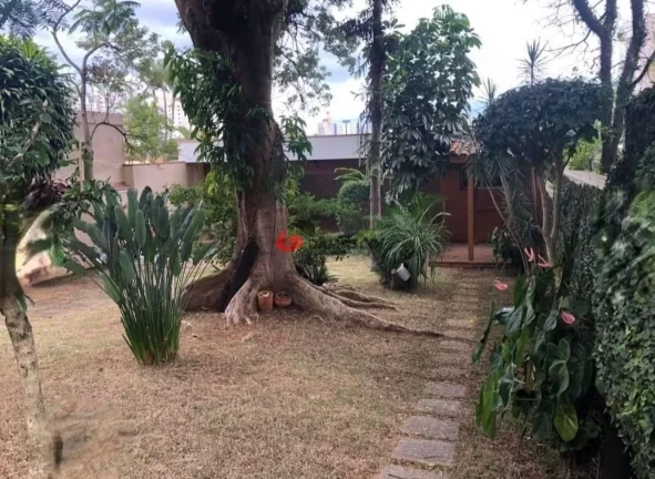 Imagem Sobrado para locação, Campestre, Santo André, SP