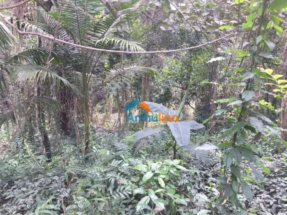Imagem Terreno à venda, 2765 m² por R$ 450.000,00 - Chácara Represinha - Cotia/SP