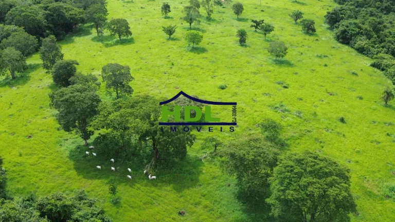Imagem 6 Alqs Ponta Beira Rio e Córrego em Hidrolândia