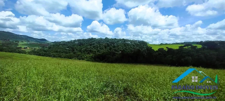 Imagem Uma Oportunidade Única para Conectar-se com a Natureza!