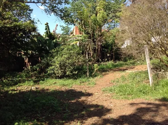 Imagem Chácara com 2 dormitórios à venda, 3920 m² por R$ 1.500.000,00 - Chácaras Reunidas Guaio - Suzano/SP