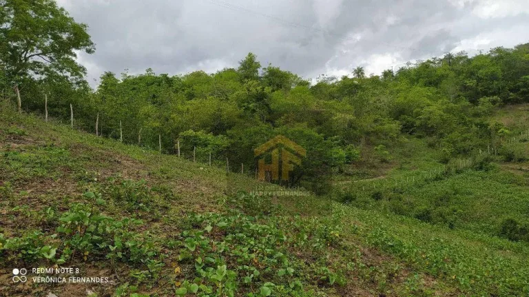 Imagem Fazenda com terreno de 14.888 hectares à venda em Paudalho, Pernambuco