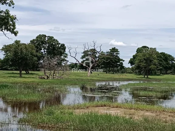 Imagem Rural / Fazenda na cidade de Santo Antônio do Leverger