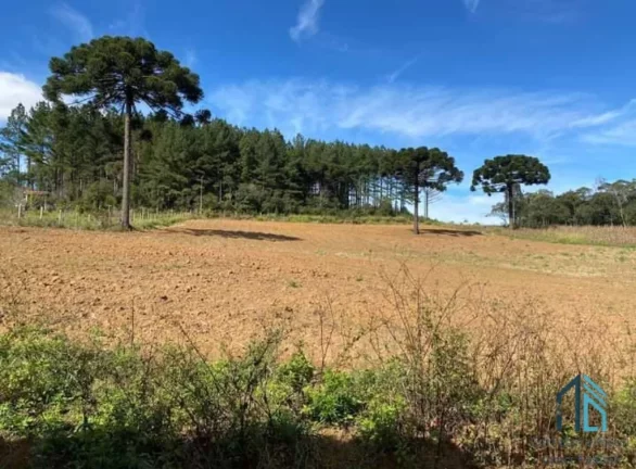 Imagem Chácara a venda, com 02 excelente Barracões novos, em Mandirituba/Tijucas do Sul PR