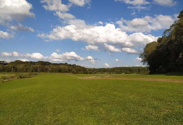 Imagem Terreno para Venda em São José dos Pinhais, Campo Largo da Roseira