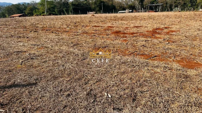 Imagem Chácara - Sítio com 1 Dormitorio(s) localizado(a) no bairro Zona Rural em Nova Hartz / RIO GRANDE DO SUL Ref.:1582