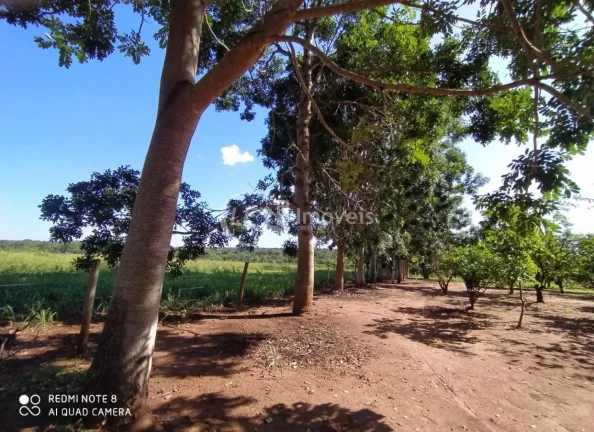 Imagem Excelente Chácara, 15.5 Ha, formada,