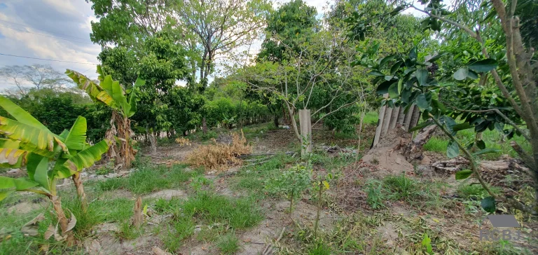 Imagem TERRENO RESIDENCIAL em ESMERALDAS - MG, CIDADE JARDIM