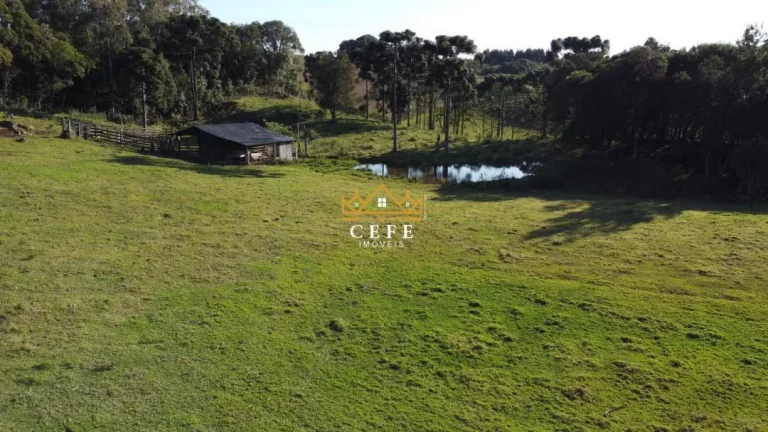 Imagem Chácara - Sítio com 3 Dormitorio(s) localizado(a) no bairro Serra Grande em Três Coroas / RIO GRANDE DO SUL Ref.:1016