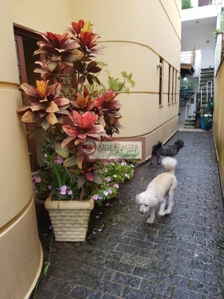 Imagem Sobrado Portal Morumbi - São Paulo