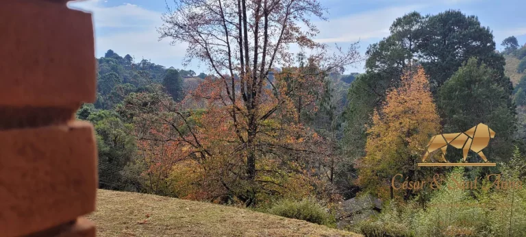 Imagem Oportunidade, Belíssima casa em meio ao verde de Campos do Jordão/SP
