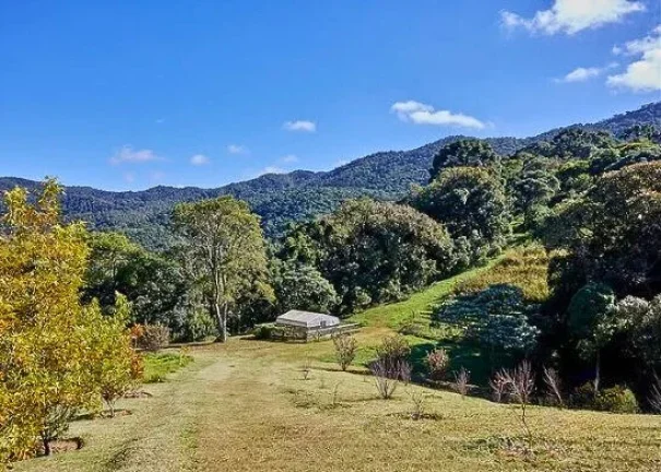 Imagem Sítio Mirante do Juncal: Arquitetura Consciente e Imersão na Natureza