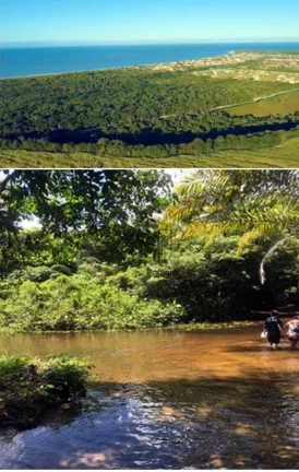Imagem Fazenda com área de 200Há, com 5km de Praia em Camaçari/Lucena-PB-AR0003