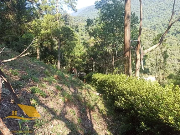 Imagem Vendo Chácara em Theodoro com 3 quartos, 1 suíte e 5 mil mts² de terreno.