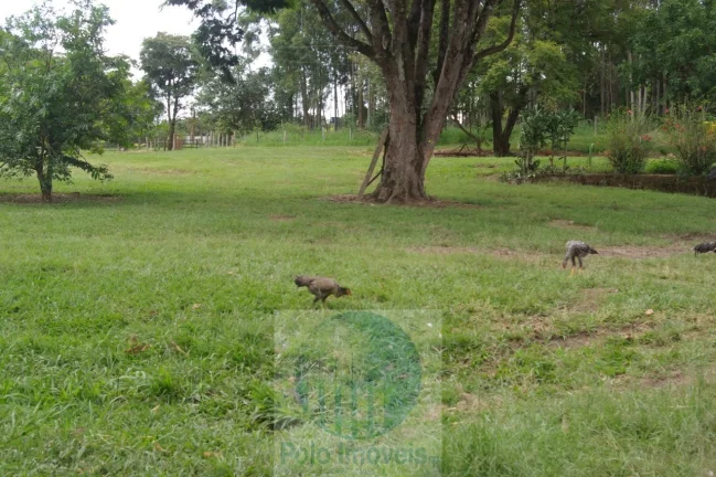 Imagem Fazenda 54 alqueires vende, casa, água, energia, plantação de café em São Sebastião do Paraíso - Minas Gerais