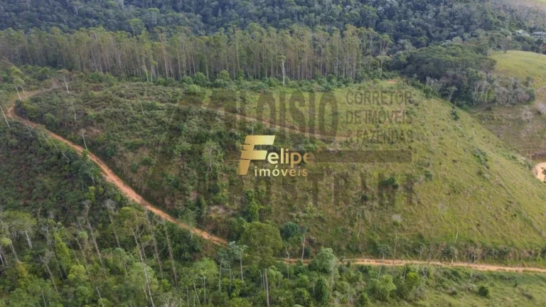 Imagem Vende-se uma incrível Fazenda de 80 alqueires, localizada a apenas 80 km de Colatina!