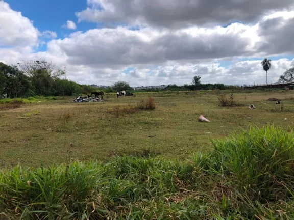Imagem Área comercial à venda, Parque Santa Rosa, Suzano, com 100 metros de Frente para a Estrada dos Fernandes.