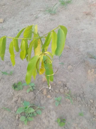 Imagem LOTES Á VENDA NO CONDOMÍNIO RECANTO DA FIGUEIRA EM JACAREÍ-SP
