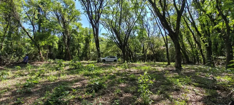 Imagem Chácara a venda em Cascavel, com 2,0992 hectare cada uma e matrícula indiviauais.