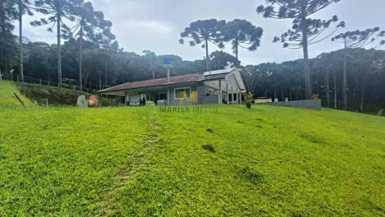Imagem Chácara à venda no bairro Capoeira dos Dinos em Piraquara!!!