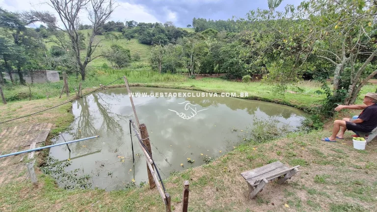 Sítio 20mil m² Documentado 4 Lagos Pomar Formado Morungaba/SP
