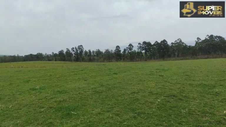 Imagem Fazenda Espetacular no Capão do Leão-RS próximo de Pelotas