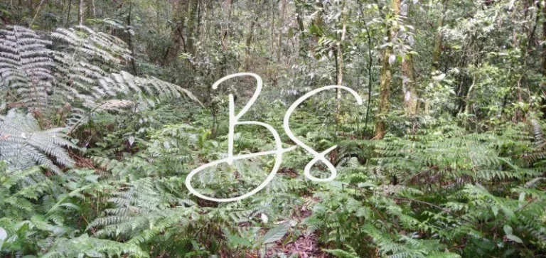 Imagem AREA RURAL em NOVA PETRÓPOLIS - RS, Centro