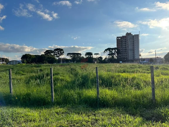 Imagem ÁREA à venda com 5513.17m² por R$ 8.269.755,00 no bairro Centro - PINHAIS / PR