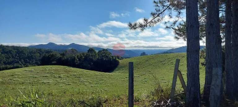 Imagem Chácara à venda em Campo Largo/PR