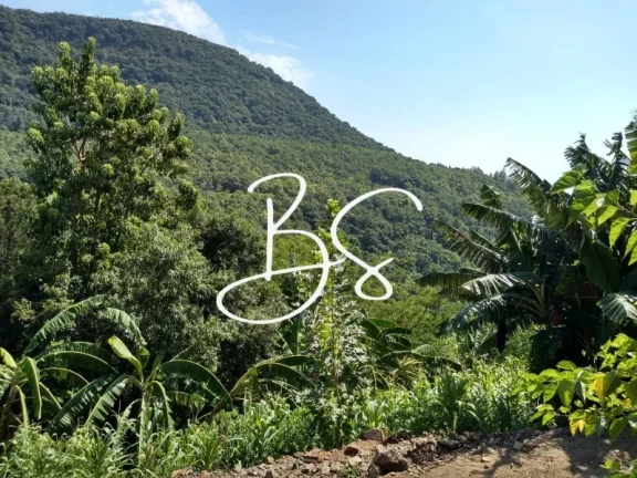 Imagem SITIO RESIDENCIAL em TRÊS COROAS - RS, Linha 28