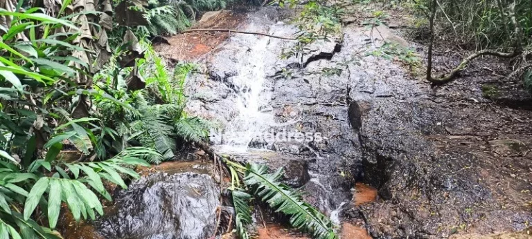Imagem Propriedade à Venda em Luxemburgo - Santa Leopoldina/ES