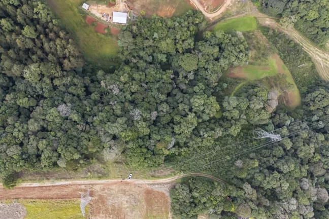 Imagem Chácara em Campo Magro com 24.200 m²