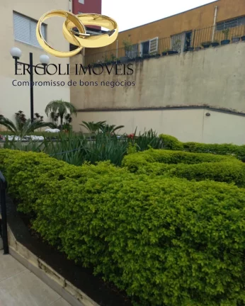 Imagem APARTAMENTO RESIDENCIAL em SÃO PAULO - SP, VILA MARIETA